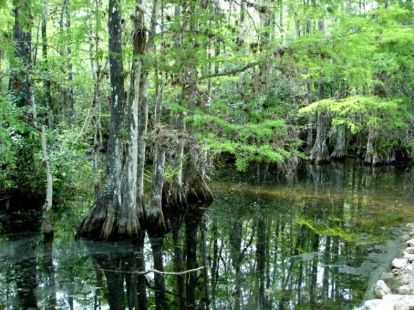 Everglades park v USA